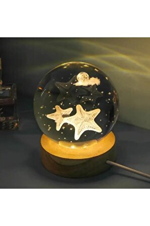 Tatlı Deniz Yıldızı Tasarımlı Ahşap Altlıklı Işıklı Cam Küre