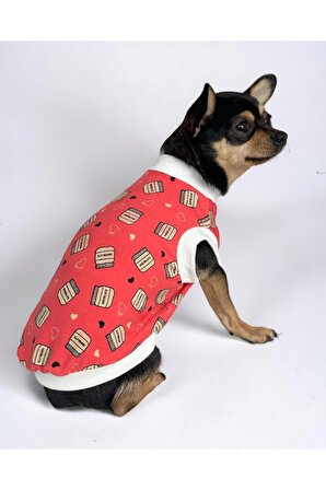 Chocolate Jar Köpek Tişörtü, Köpek Kıyafeti