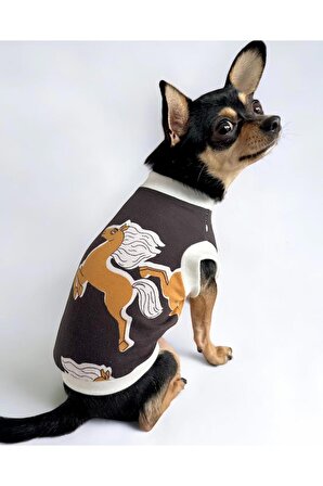 Black Horse Köpek Tişörtü, Köpek Kıyafeti