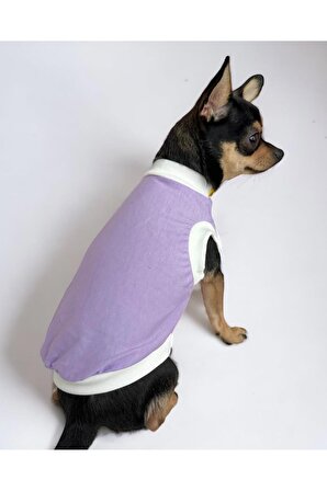 Lilove Köpek Tişörtü, Köpek Kıyafeti