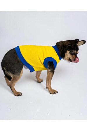 Sarı Lacivert Köpek Tişörtü, Köpek Kıyafeti
