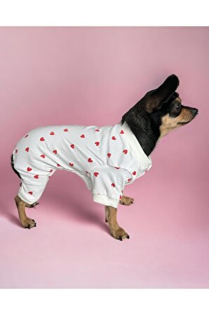 Love Penye Cırtcırtlı Köpek Tulumu, Köpek Kıyafeti