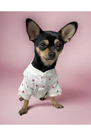 Love Penye Cırtcırtlı Köpek Tulumu, Köpek Kıyafeti