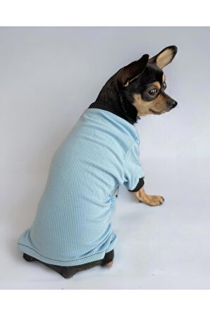 Baby Blue Cırtcırtlı Köpek Tulumu, Köpek Kıyafeti