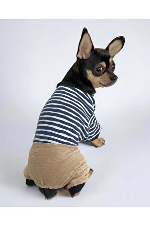 Spe Milky Blue Cırtcırtlı Köpek Tulumu, Köpek Kıyafeti