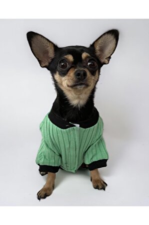Bea Green Cırtcırtlı Köpek Tulumu, Köpek Kıyafeti