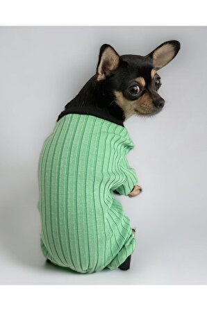 Bea Green Cırtcırtlı Köpek Tulumu, Köpek Kıyafeti