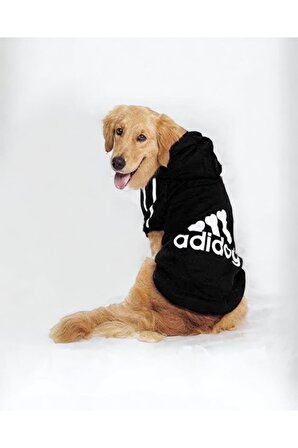 Siyah Adidog Gerçek 3 İplik 20-45kg Köpek Sweatshirt, Hoodie, Orta ve Büyük Irklar için
