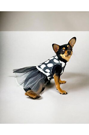 Black Dress Tütülü Köpek Elbisesi, Köpek Hediye, Köpek, Tütü, Elbise