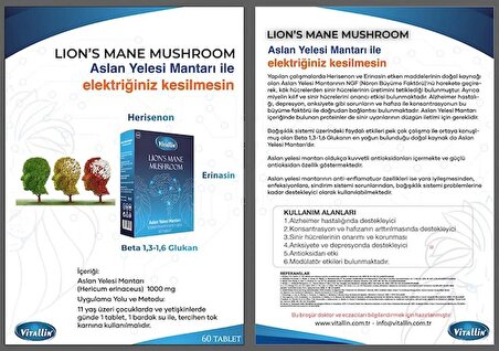 Vitallin Aslan Yelesi Mantarı 60 Tablet Lion's Nane Mushroom Beta 1,3-1,6 Glukan Herisenon - Erinasin - Hericum erinaceus 1.000 mg