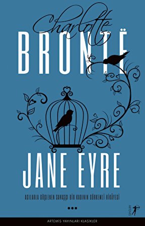 Jane Eyre Charlotte Bronte Acılarla Güçlenen Savaşçı Bir Kadının Görkemli Hikayesi - 2 Kitap Hediye:S.Ali-Kuyucaklı Yusuf ve Osman Nedim Tuna -Sümer ve Türk Dilleri