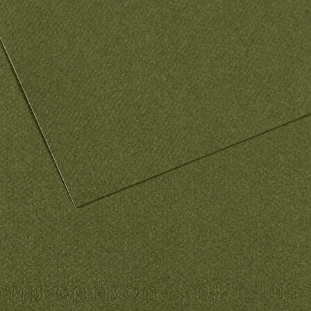 Canson MI-TIENTESS Verde Mar - 50x65 cm