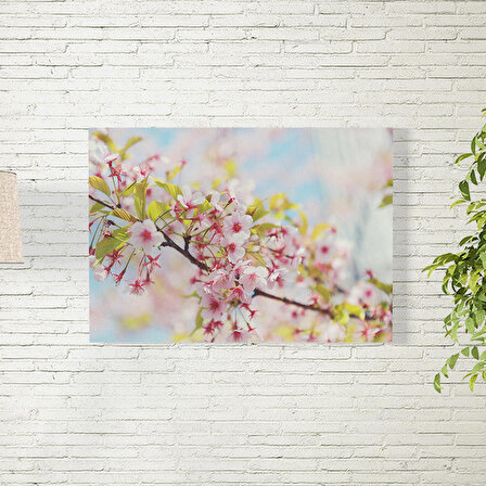 Sakura Ağacı Temalı Poster 50X70 CM