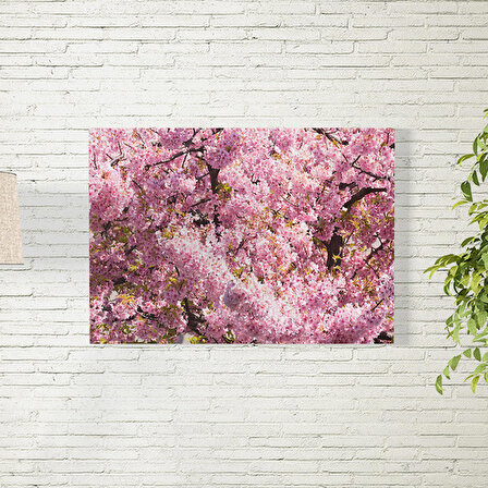 Sakura Ağacı Temalı Poster 50X70 CM