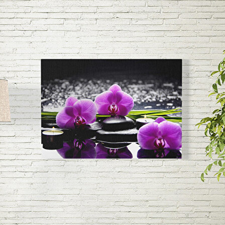 Orkide Çiçeği Posteri 50X70 CM