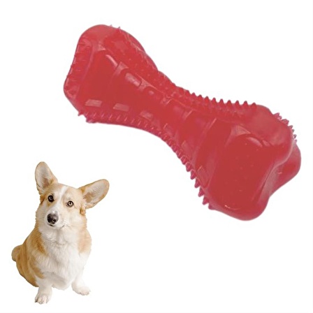 River World Köpekler İçin Plastik Tırtıklı Dumbell Şeklinde Diş Kaşıma Oyuncağı Renkli