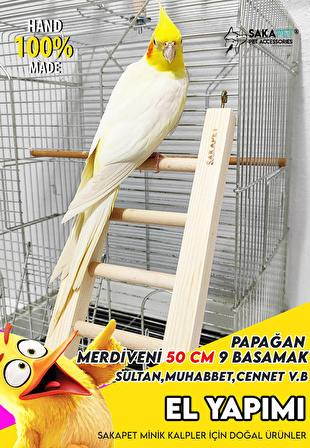 Kuş Merdiveni 50 CM