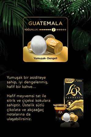 L'OR Espresso Origin Guatemala Kapsül Kahve 10 x 10 Paket ( 100 Adet )