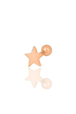 Gümüş rose yıldız modeli Tragus helix Piercing küpe SGTL12318ROSE