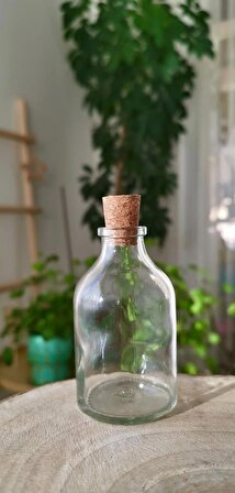 Mantar tıpalı mini cam şişe 50cc Shot şişesi (7 adet)