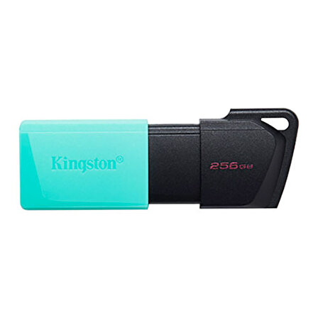 KINGSTN 256GB USB3.2 DTExodaM DTXM/256GB