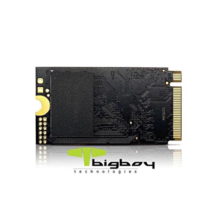 1TB 22x42mm PCIe 3.0 x4 M.2 NVMe Notebook SSD