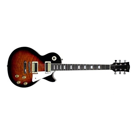 Smiger Les Paul Elektro Gitar (Taşıma antası Hediyeli)