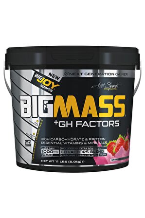 Bigjoy Bigmass Gainer Gh Factors 5000 Gr Çilekli Karbonhidrat
