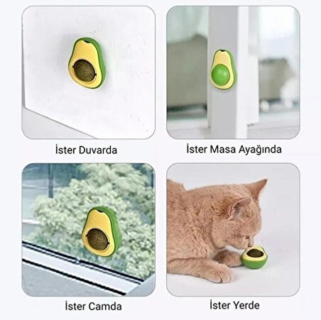 Kedi Nanesi Oyuncağı Avokado Catnip 360 Derece Dönen Kedi Nanesi Oyuncağı Kedi Çimi 