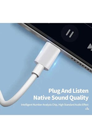 iPhone 15 Pro Max Uyumlu Type-c Kablolu Mikrofonlu Kulaklık