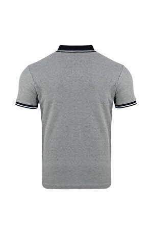 Regular Fit Polo T-Shirt	