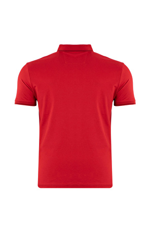 Büyük Beden Regular Fit Baskılı Dokulu Polo T-Shirt	