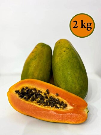 Tropmix 2 Kilo Tropikal Papaya Meyvesi