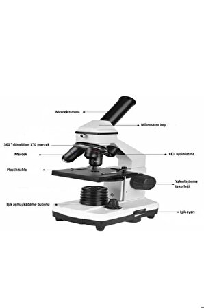 Okul Laboratuarlarına Uygun Eğitim Mikroskobu 640X büyütme