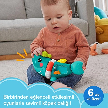 HJP01 Fisher Price Sıralama Oyuncağı Hareketli Köpek Balığı