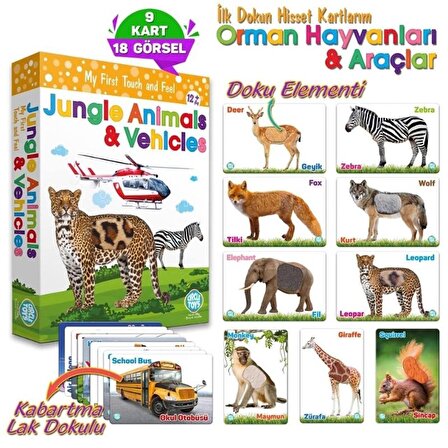 Circle Toys Dokun Hisset Orman Hayvanları Ve Araçları