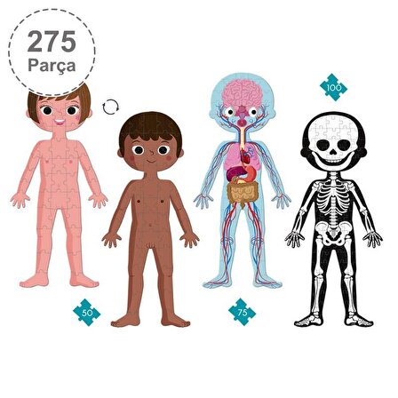 Janod Öğretici Puzzle - İnsan Vücudu 4'lü Set