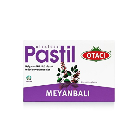 Otacı Pastil Meyanbalı 16 Pastil