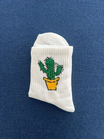 Cactus Unisex Beyaz Kolej Çorap