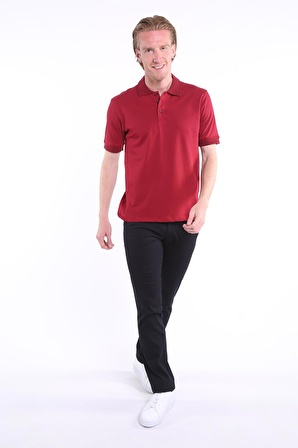 İntersivin %100 Pamuk Normal Kesim Bordo Polo Yaka Erkek T-Shirt