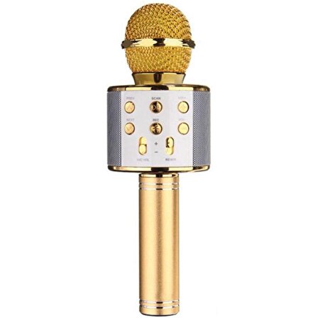 Weko PM-17185 Kablosuz Taşınabilir Mikrofon 