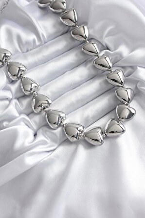 Erb Pirinç Gümüş Renk Kalp Model VİP Kadın Kolye