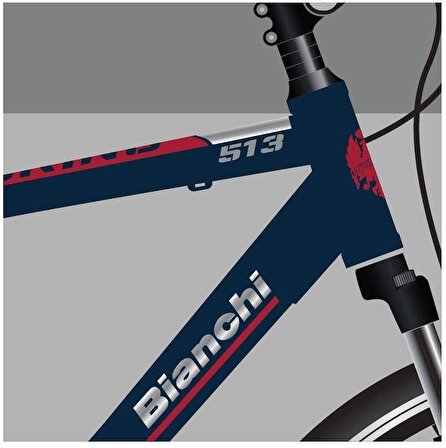 Bianchi Tourıng 513 28 Jant 21 Vites Erkek Şehir Bisikleti Mat Mavi-Koyu Kırmızı