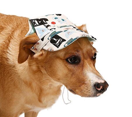 Küçük ve Orta Irk Köpekler için Şapka Lopyy