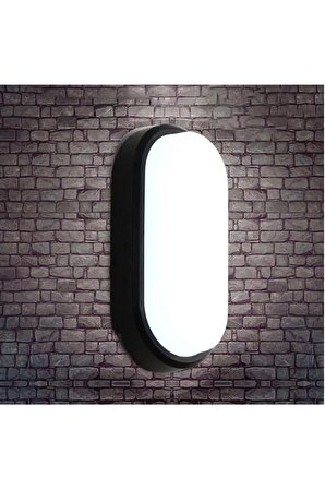 Banyo Tavan Lambası Aydos 20W Oval Siyah Balkon Tavan Lambası 6400K Beyaz LED Işık Teras Duvar Lambası