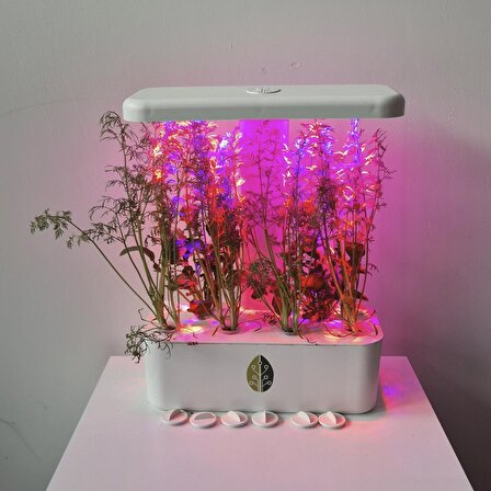 UPTECHLABS: U-Herb Smart Garden, Grow Light, Akıllı Bahçe, Hidroponik, Bitki Yetiştirme Sistemi