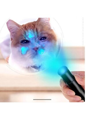 ultraviyole kedi köpek mantar idrar gösteren uv ışıklı büyük boy el feneri