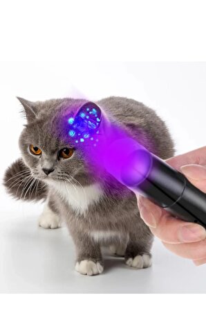 ultraviyole kedi köpek mantar idrar gösteren uv ışıklı büyük boy el feneri