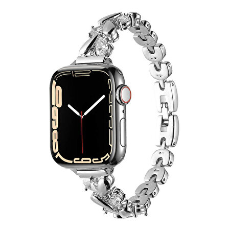 Vendas Apple Watch 7 41mm Zore KRD-103 Metal Kordon
