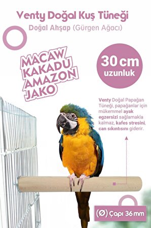 Vixpet Venty Doğal Papağan Tüneği 36 mm 4'lü / Macaw, Kakadu, Jako, Amazon Vb.